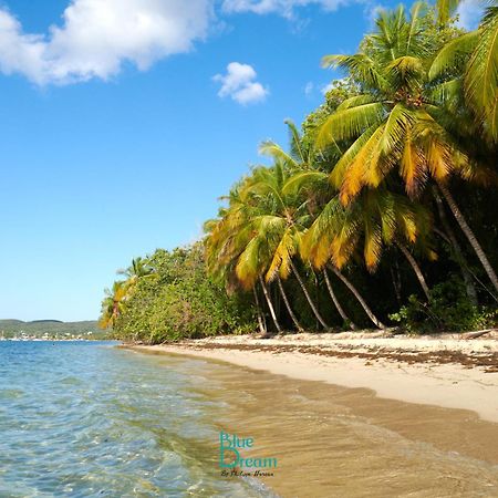 Kawan Nid - Tout Confort, Plage A 2 Min A Pied, Piscine, Wifi, Climatisation Grand-Bourg  Esterno foto